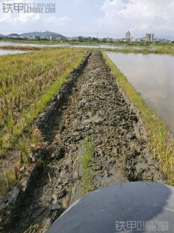 翻地（荷蘭豆專用）