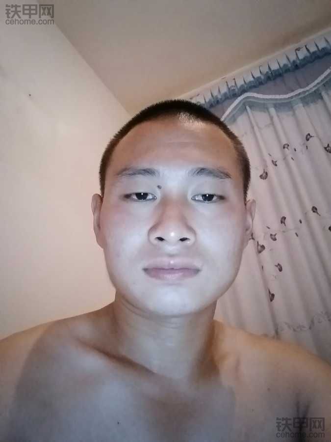 沃尔沃210的挖土机，兔子挡在那