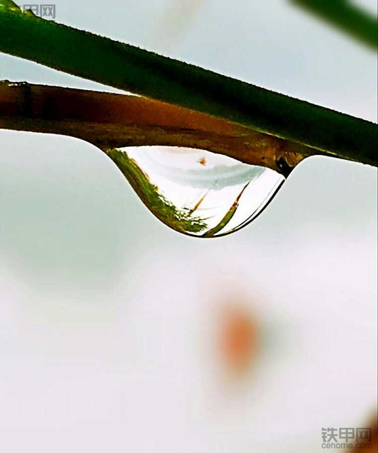 雨中……