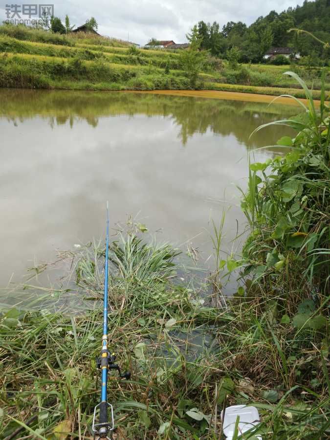 釣魚(yú)