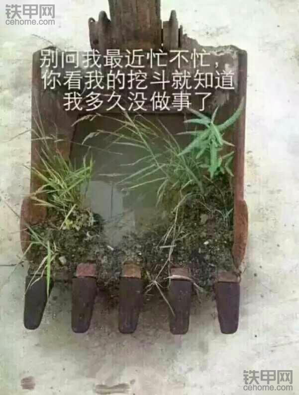 济宁地区求微挖的活