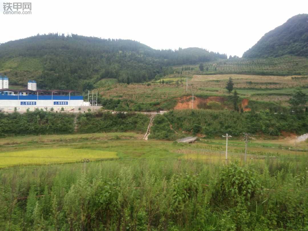 今年雨水太多了，山上稻谷比山下好