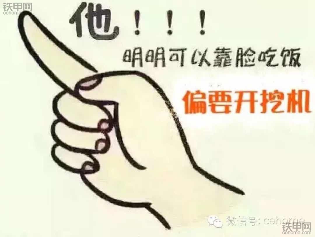 挖机扎堆干活