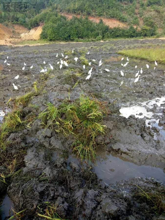 玩泥巴