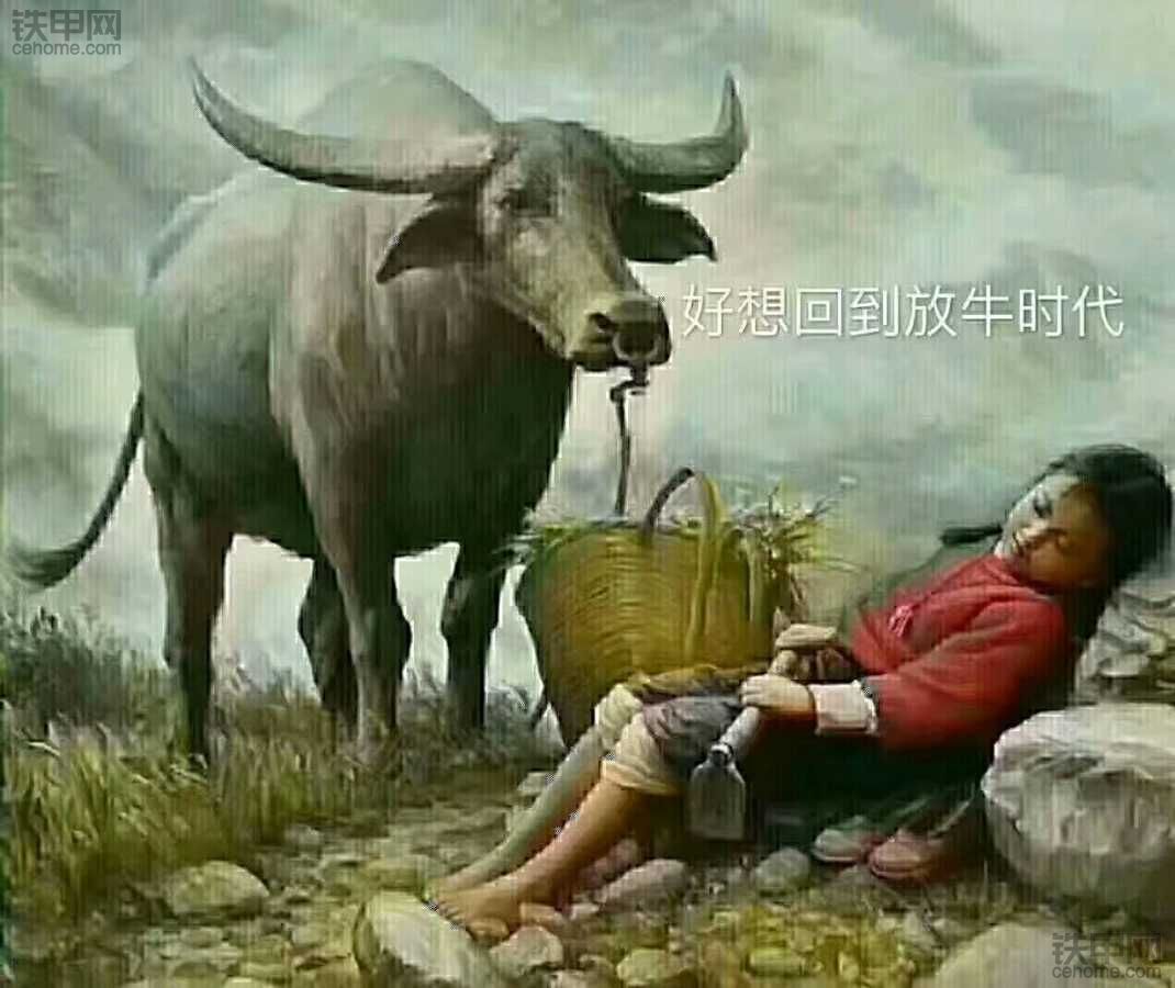 讓晚睡成為習(xí)慣