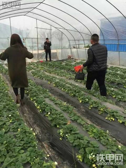 如果能重来，一定好好珍惜你，希望你也珍惜我，不会那么冲动