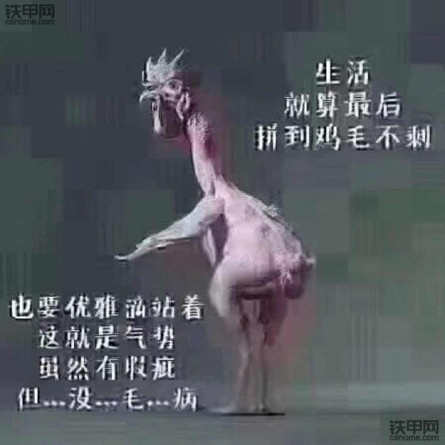 這個世界沒有那么好，但也沒你想的那么糟糕