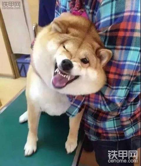 司机有事回家了，有来南京帮忙的吗？