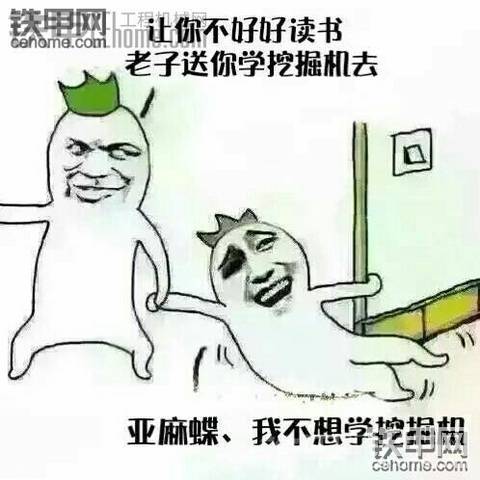 今天还真好玩