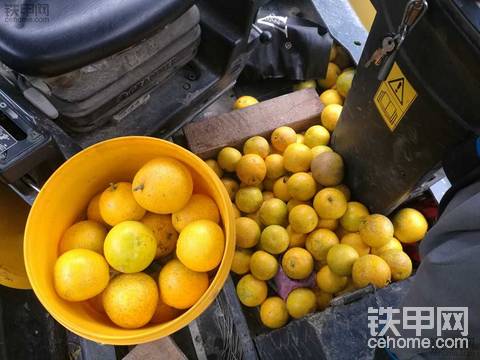 收获满满
