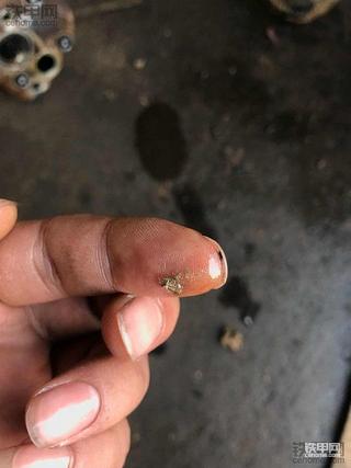 大泵打的一塌糊涂!