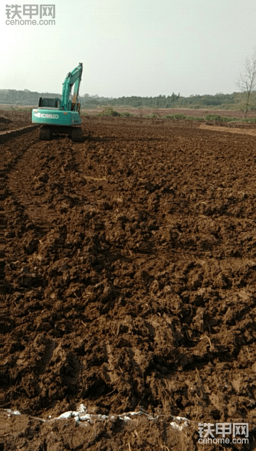 农田改造，来了100多台200型的挖掘机-帖子图片