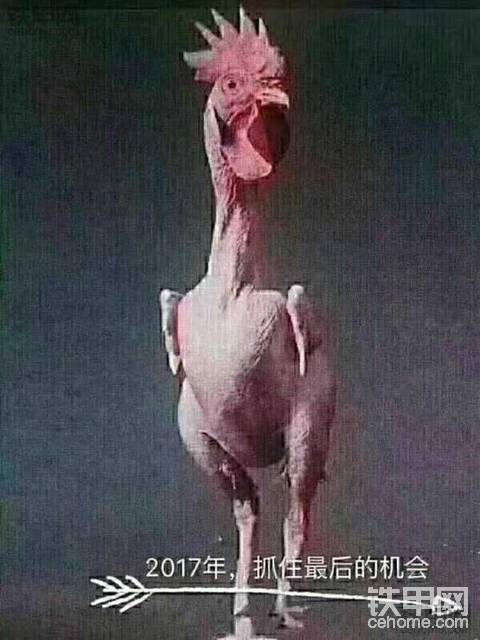 计划有变