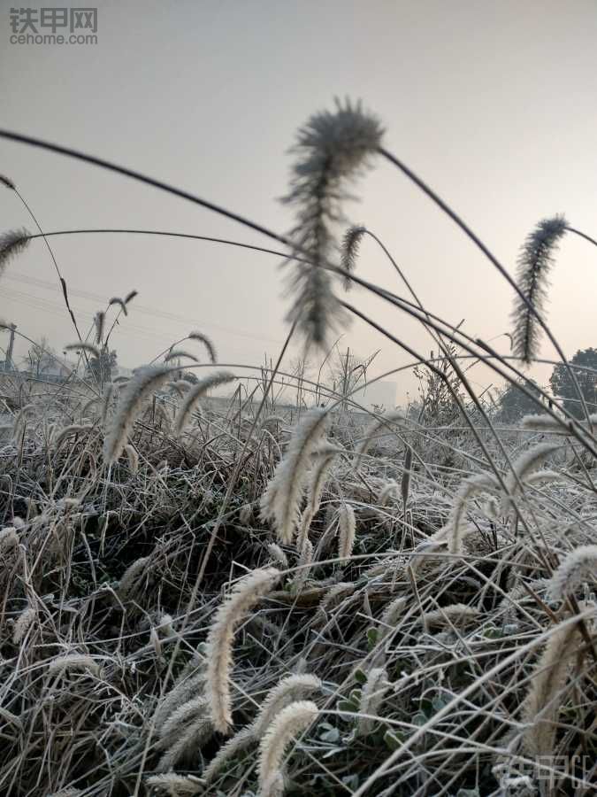 寒冷的冬天也有別樣的風(fēng)景