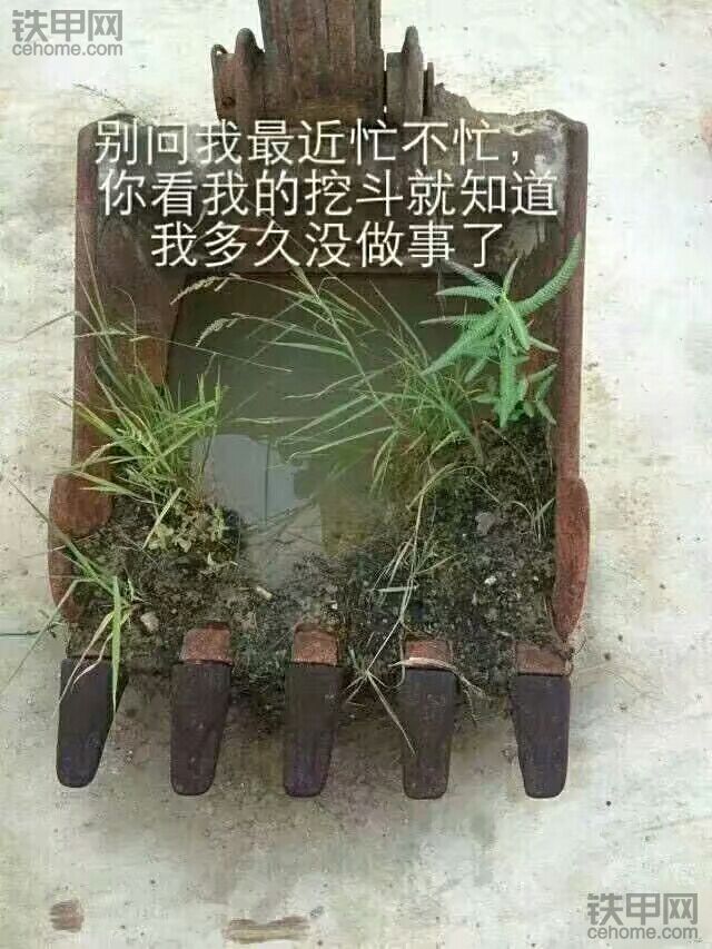 搖搖晃晃又一年