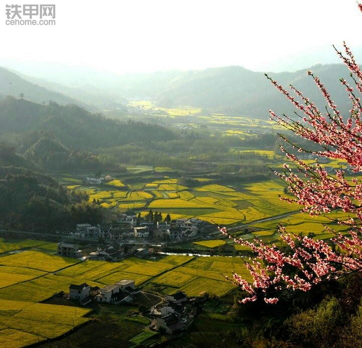 甲友們，你們那都下雪了嗎？