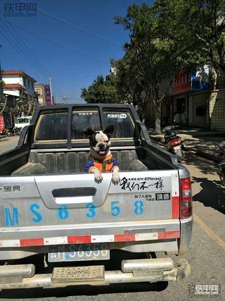 昨天照的，早上好