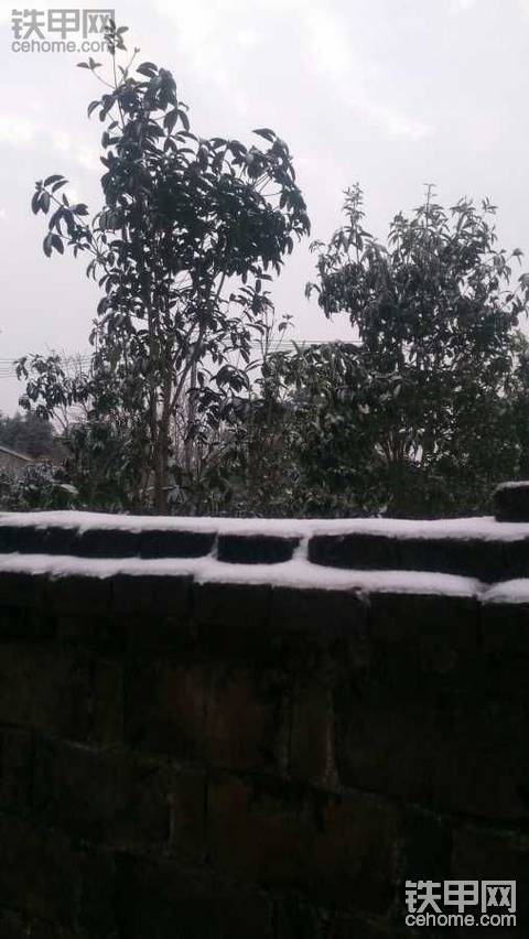 下雪了