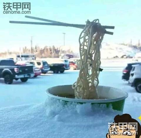分享日记第252天
