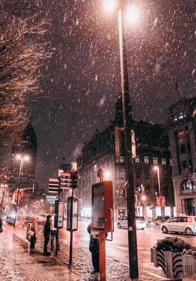 上海的雪景