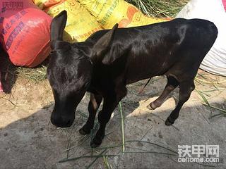 一直就看你们说工资很高介绍份来