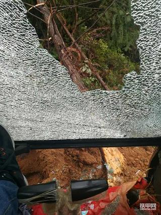 透心凉心飞扬