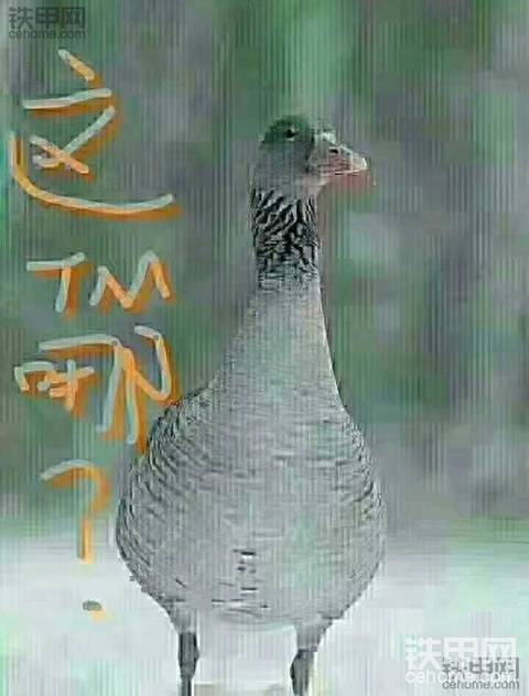 茫然