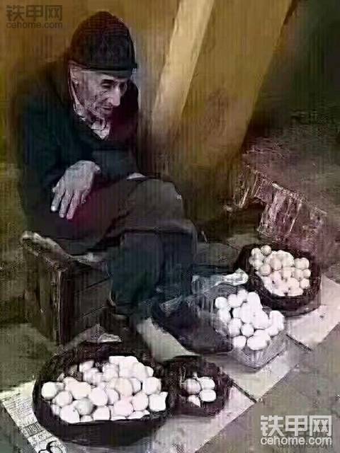 每日一贴，感悟人生