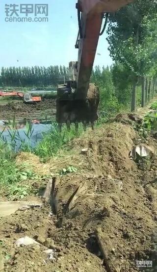 恨铁不成钢 我家小舅子学挖机4年经历