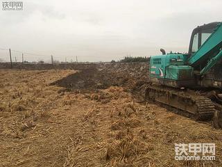 什么时候能出师啊