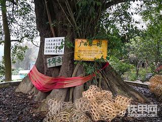 【5yao旺】維修小白之小松400跟機(jī)維修記