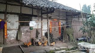 提車記之（踏上挖機(jī)的道路）