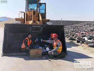 你绝对没看过画面 看我开着装载机去喂牛！