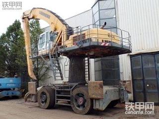 长颈鹿的利勃海尔