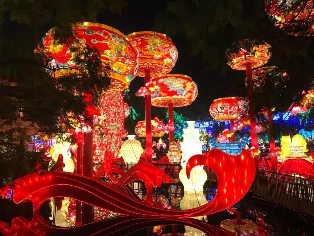 过年去自贡灯会的照片，给大家分享一下。