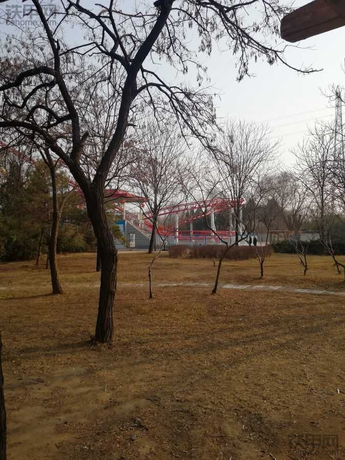 公園溜溜