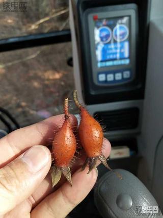 挖友们你们都挖过哪些美食