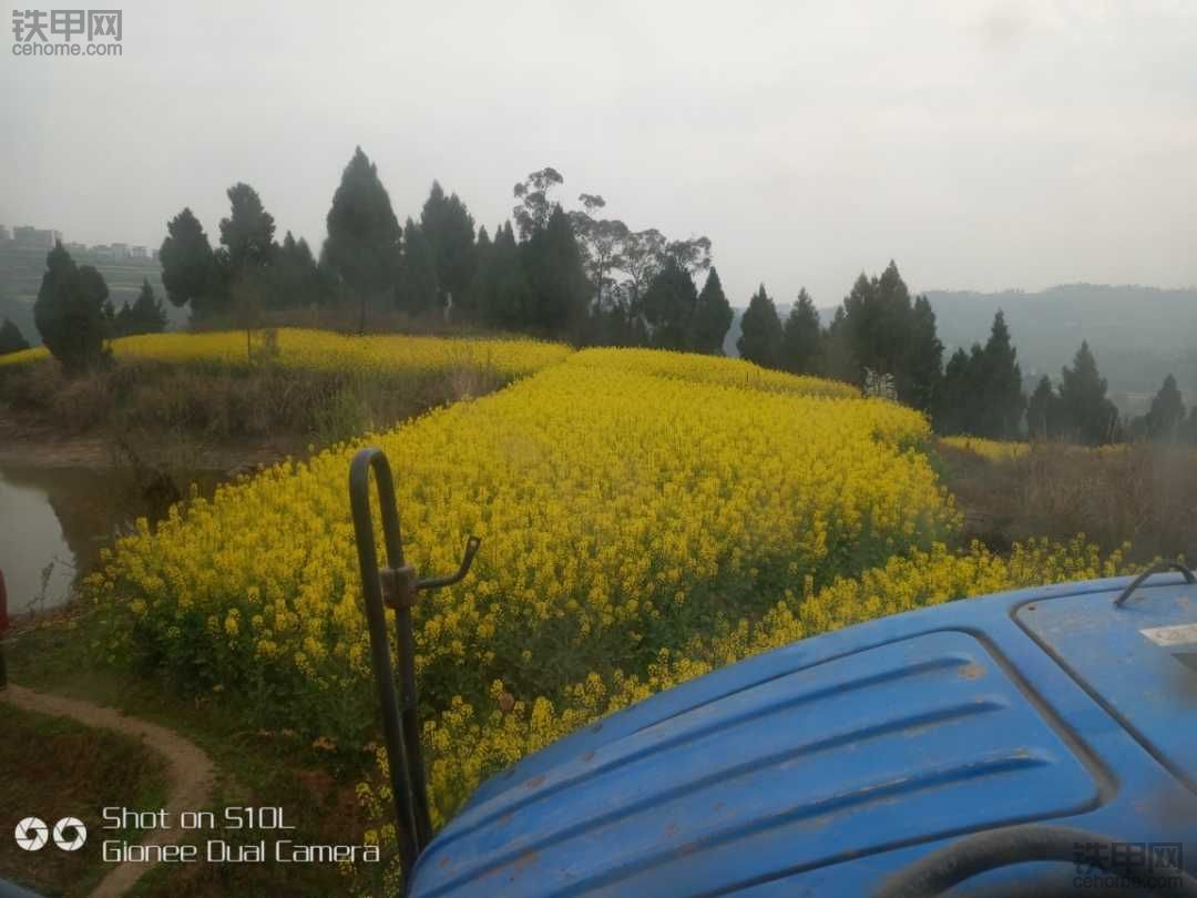 坐标，南充仪陇老县城。看油菜花的有约的吗？