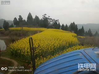 坐标，南充仪陇老县城。看油菜花的有约的吗？
