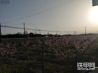 我在新疆开挖机：被骗入坑，无法脱身，差点送命