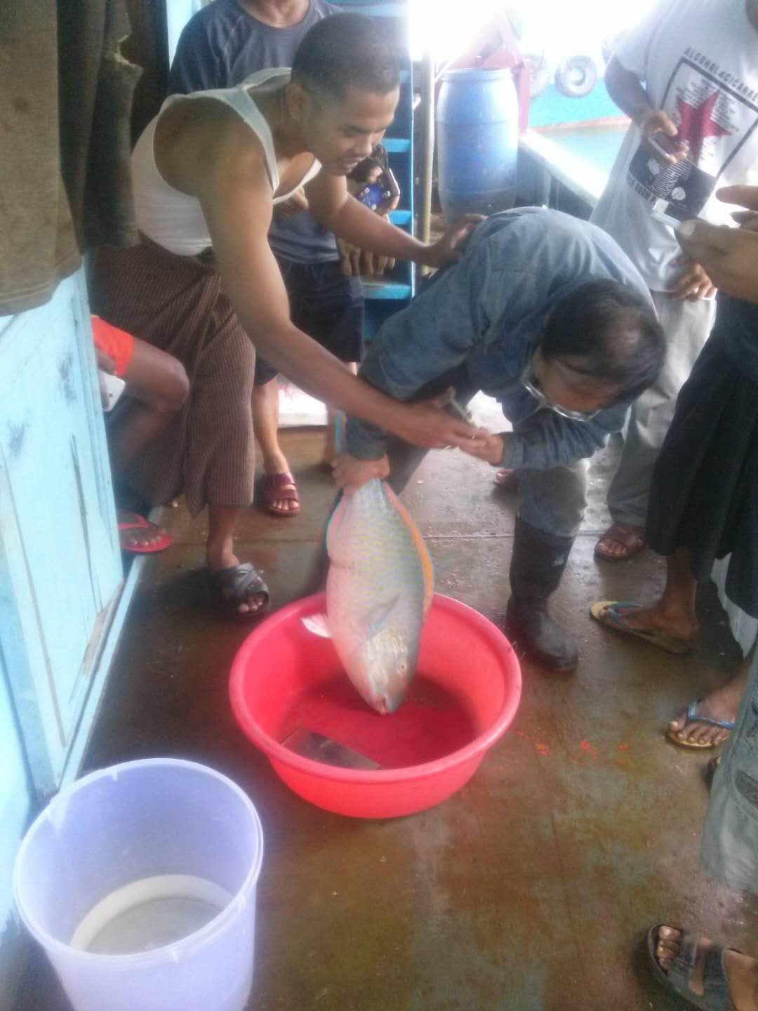 老魏馬爾代夫記（2） 這里海鮮跟不要錢似的！衣食住行真實記錄