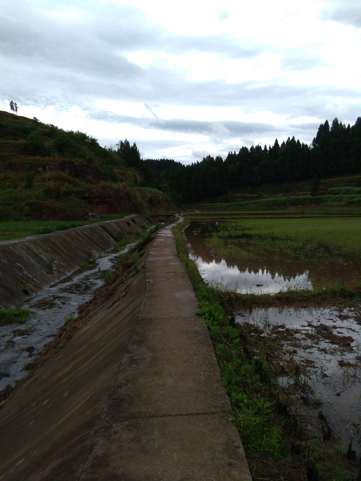 【我的鐵甲日記第2天】下雨了，一起走小路回家