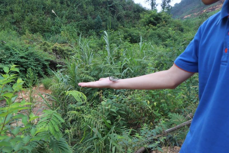 見過700噸挖機(jī)，鐵甲論壇管理員 小丁報道！求撩！