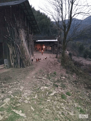【我的家乡我的根】钓青蛙盘鳝鱼，还是农村山里套路少！