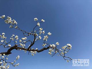 【我的家乡我的根】这里遍地黄金，每座山都是金矿