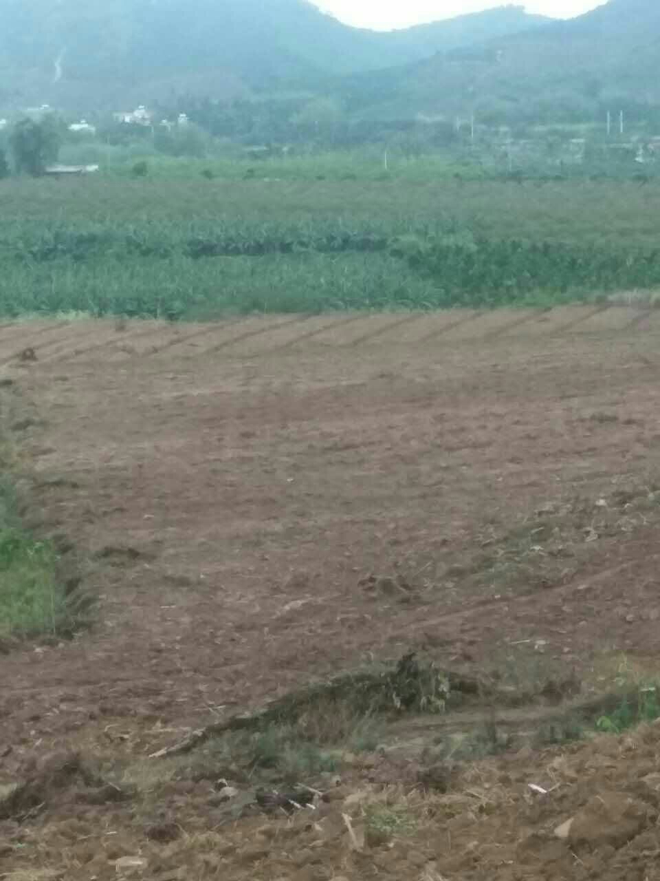 【我的鐵甲日記第十四天】陰雨霧蒙蒙的一天