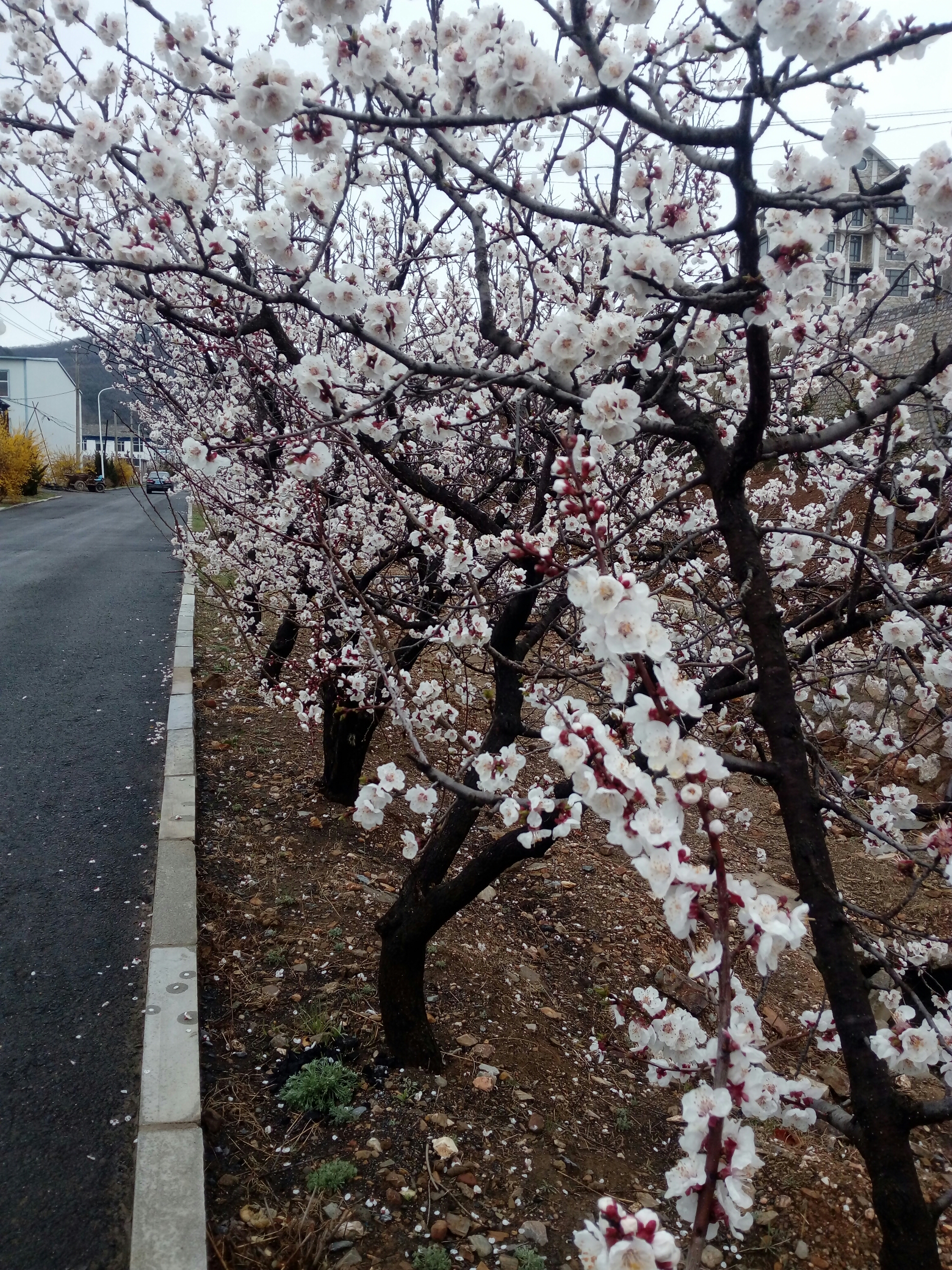 打水泥地面按平方算錢