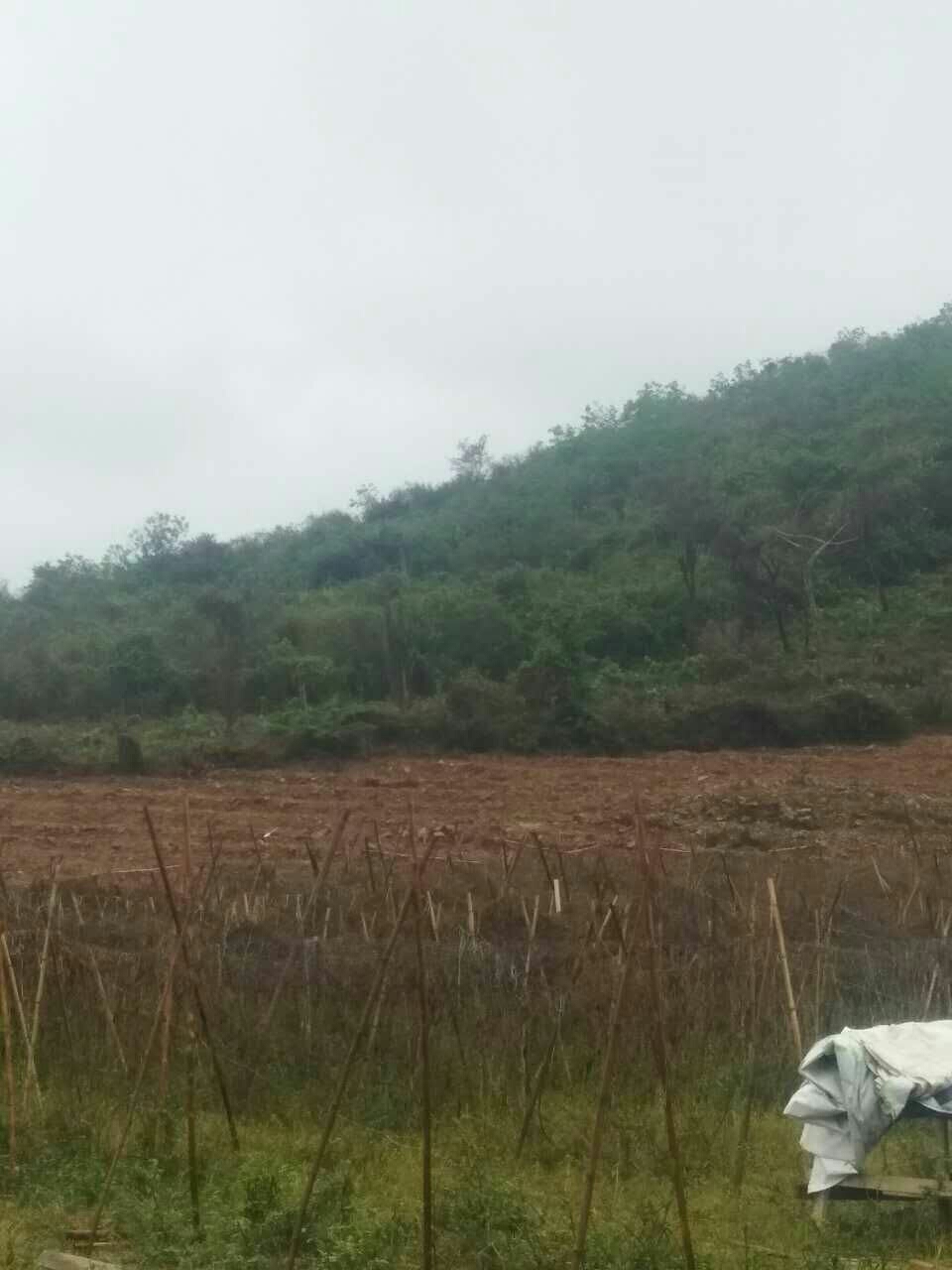 【我的鐵甲日記第十六】天氣依然雨蒙蒙的