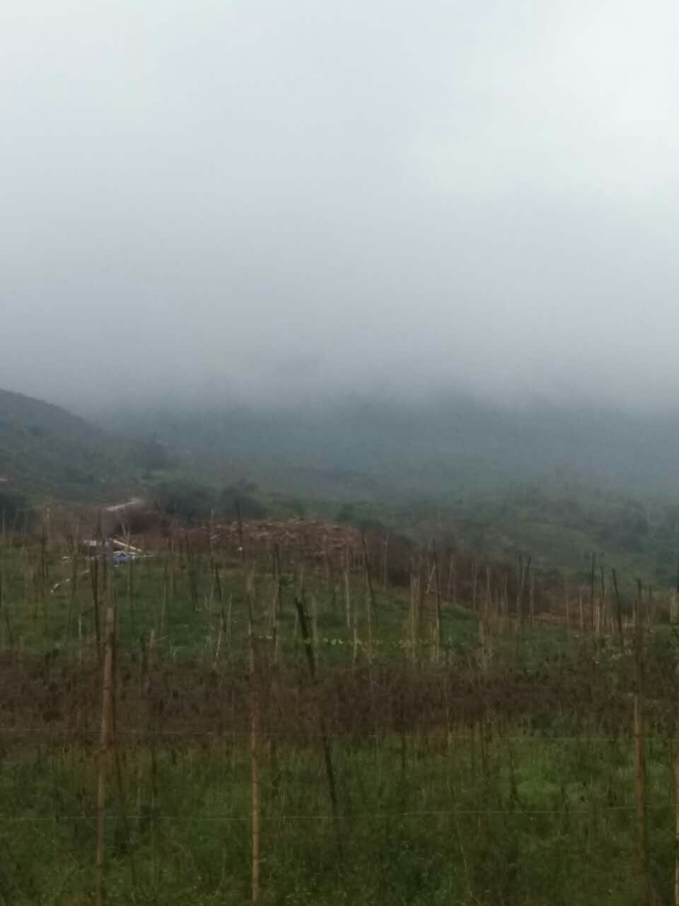 【我的鐵甲日記第十六】天氣依然雨蒙蒙的