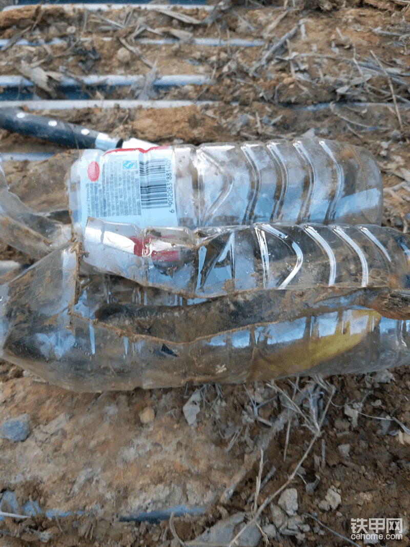 这是野生的黄峰鱼🐠  矿泉水瓶刚刚能筛得进去    一身泥抓来也不容易   总体有着满满的收获